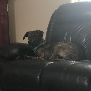 Meet your Posher, Brett